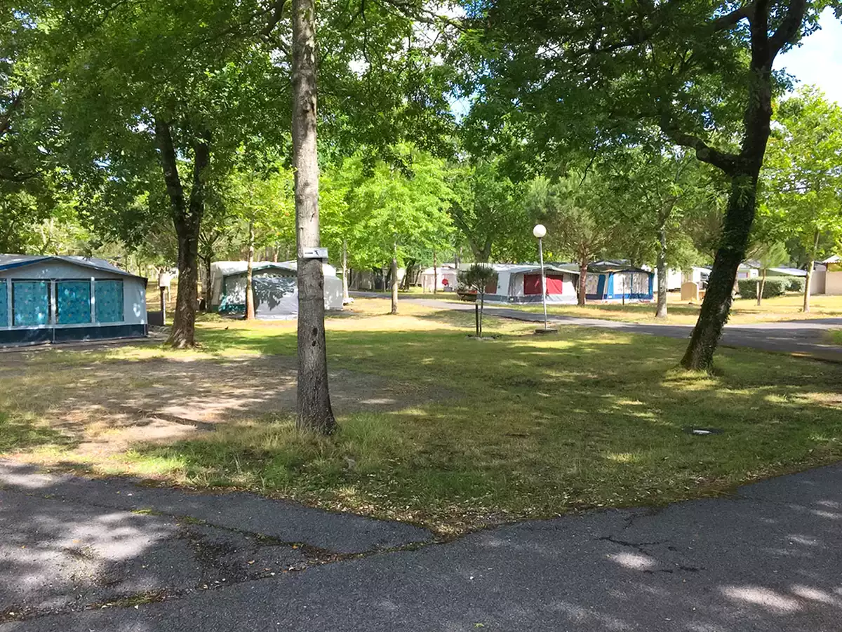 location arbore tente camping